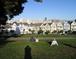 Victorian houses on Alamo Square